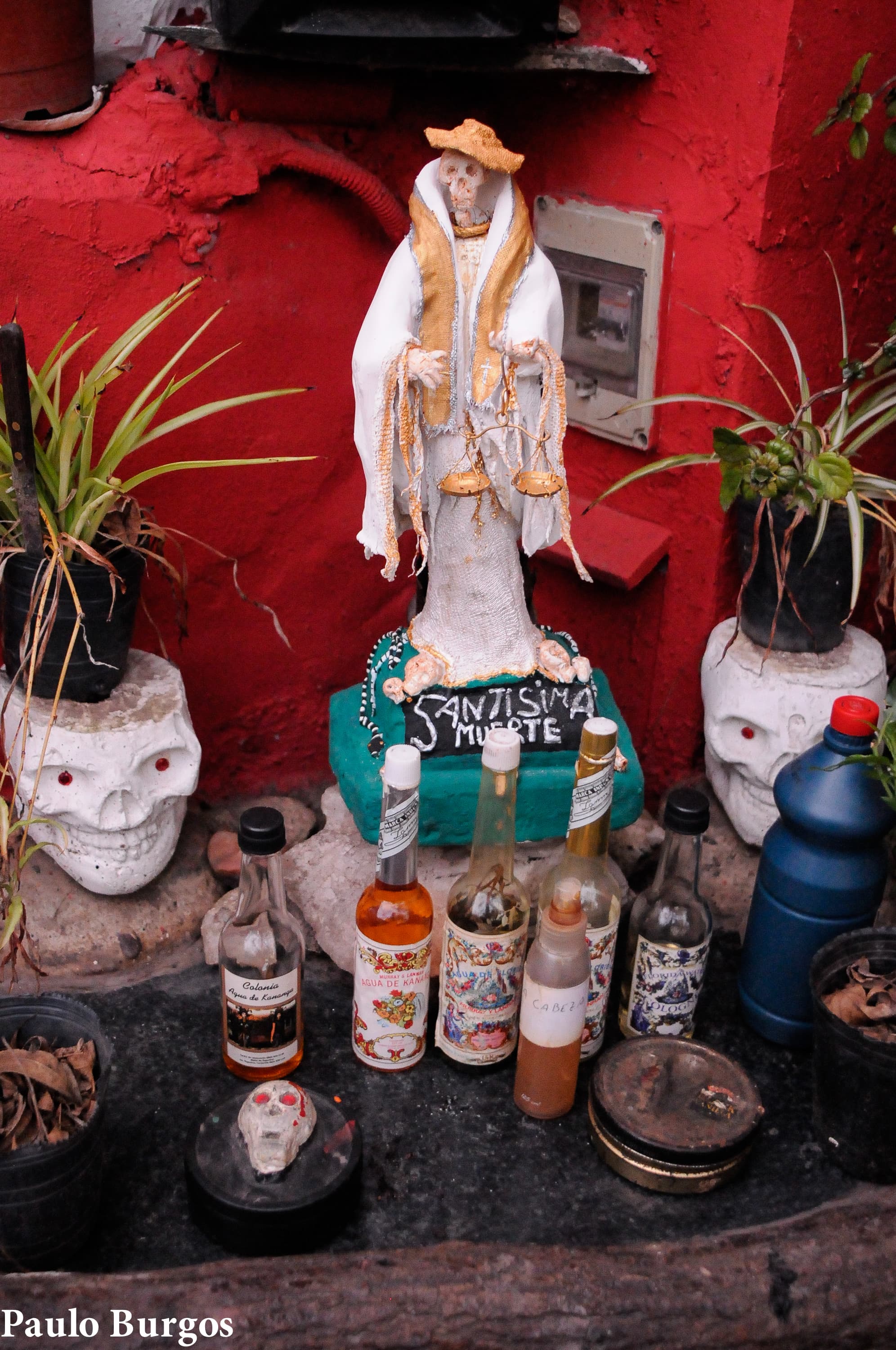 (San) La Muerte -por Paulo Burgos