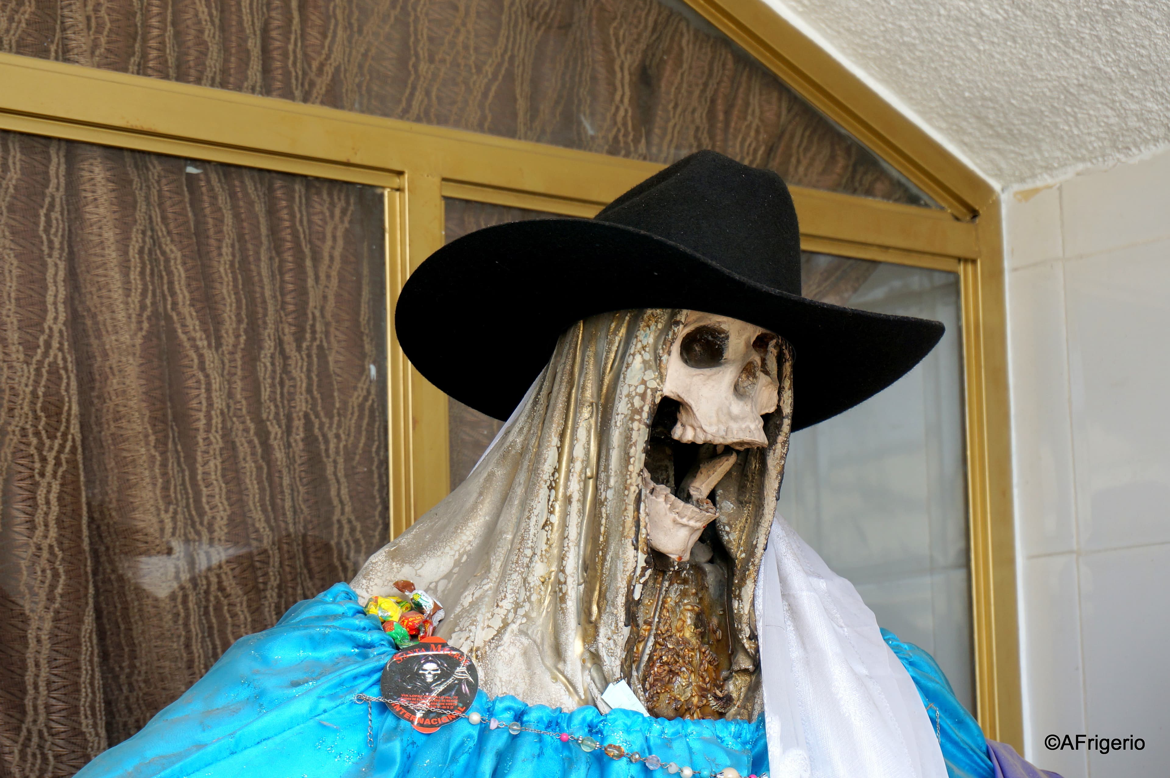 DSC09006