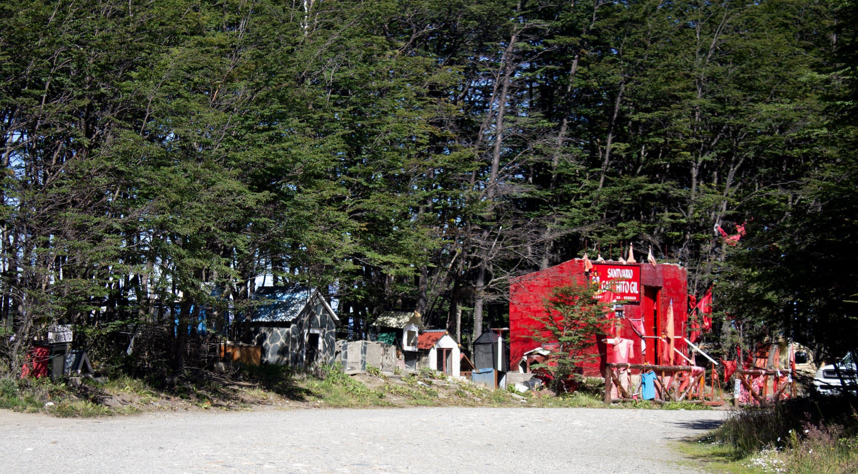 Fotografía documental — El Bosque de los Santos en Ushuaia