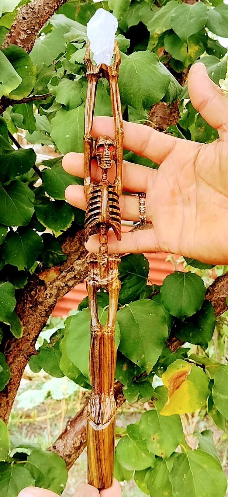 Vara hechicera de SLM