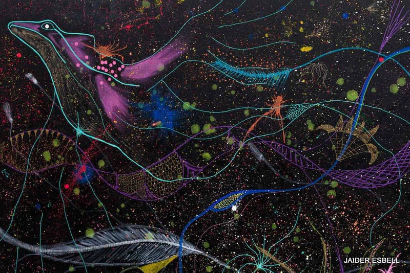Fotografía documental — «Cosmopolítica» -según Eduardo Viveiros de Castro (2)