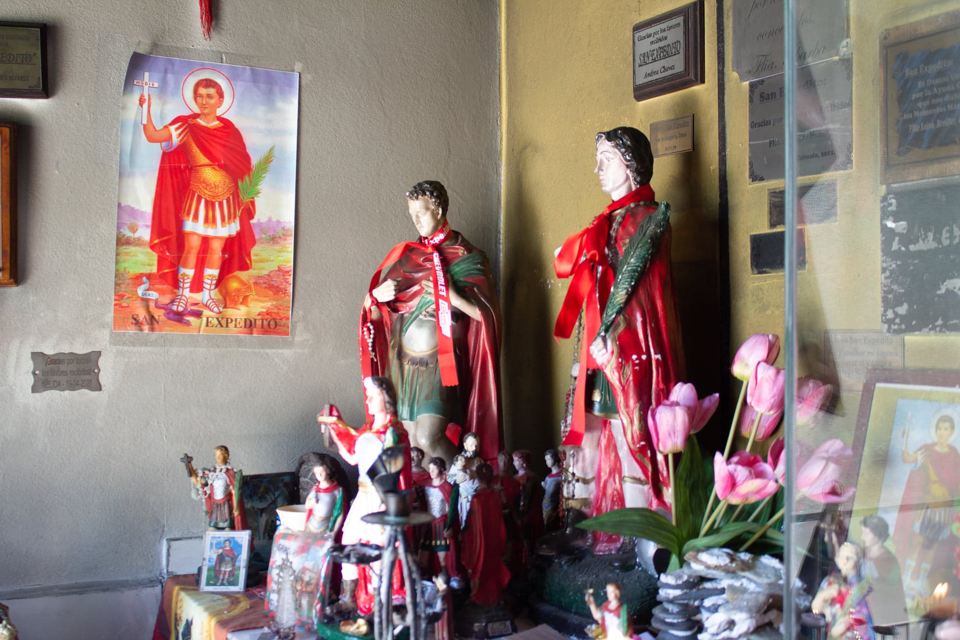 San Expedito 7