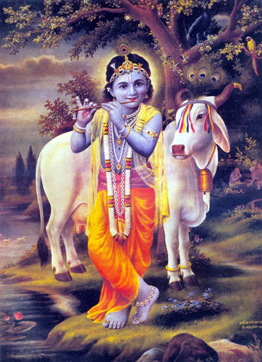 Fotografía documental — Arte Hare Krishna